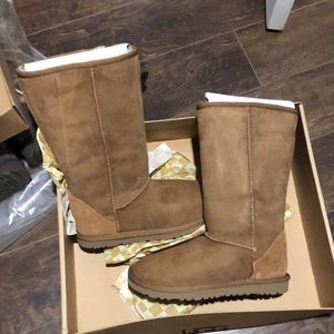 NEW IN BOX - UGG Classic Tall II Boot Style 5815 Chestnut